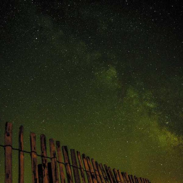 オーガニックコットンＴシャツ_0943