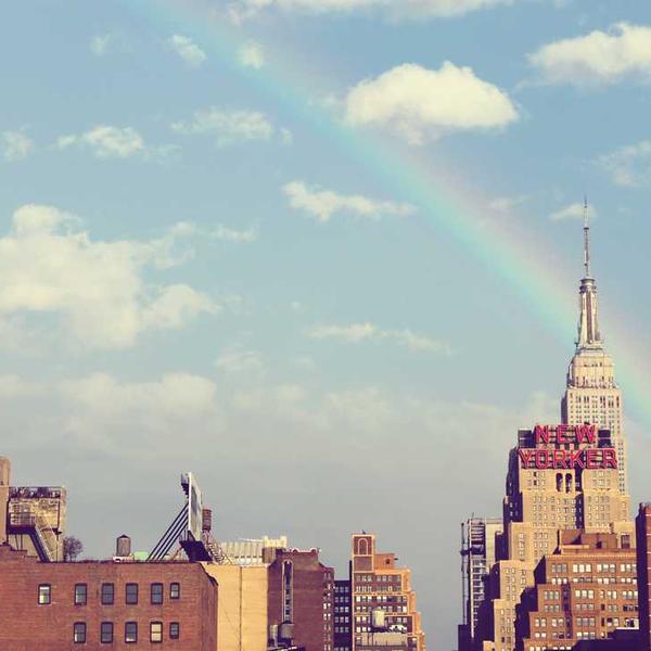 ホホバオイル_0556