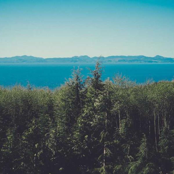 マイルド洗顔フォーム_0970