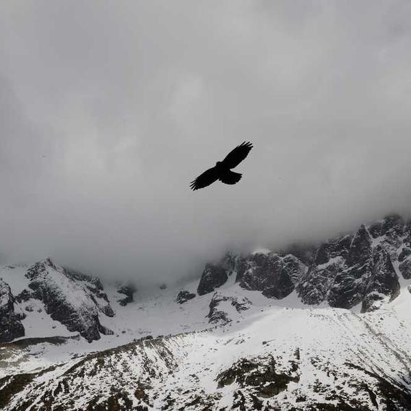 薬用入浴剤_0712