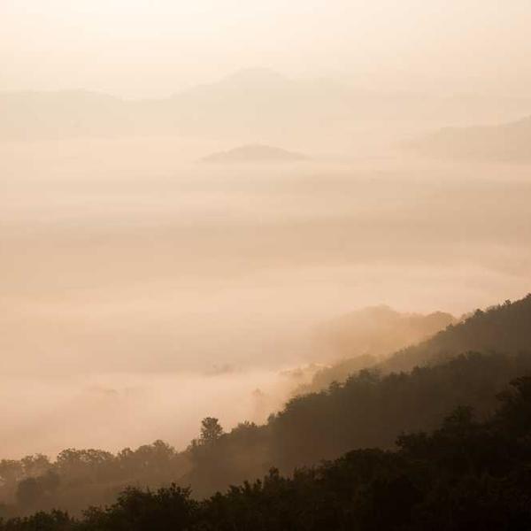 ジャムサンドクッキー_0273