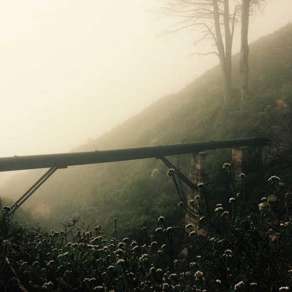 パスタソース_0405