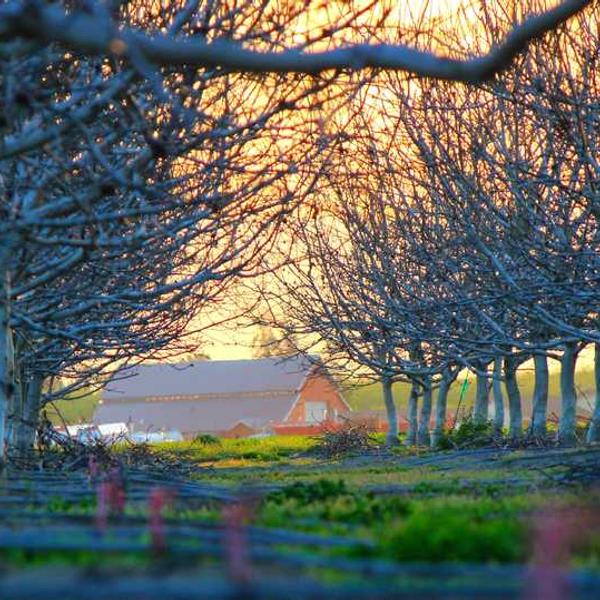 修正テープ_0576