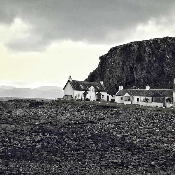 植林木ノート_0804