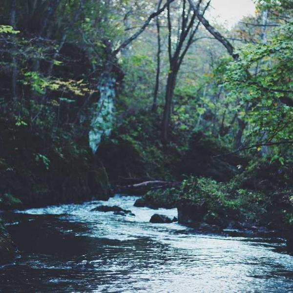 仕切りスタンド_0906