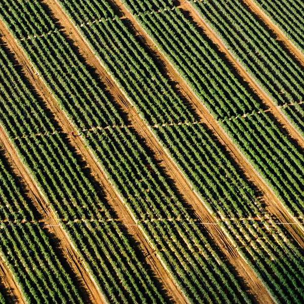 ステンレスはさみ_0042