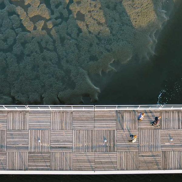 植林木ノート_0978