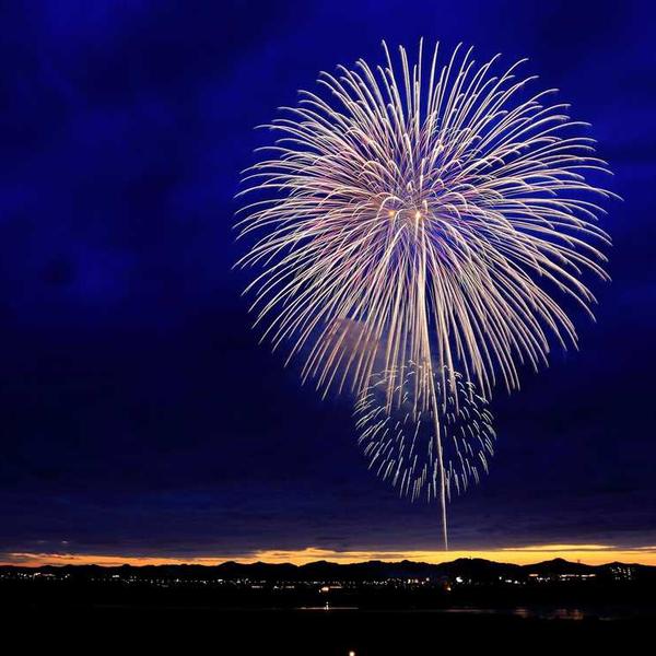 植林木ノート_0492